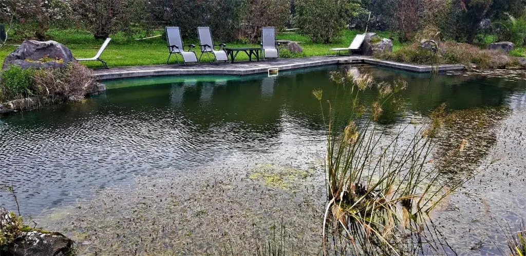 Quinta do Bom Despacho