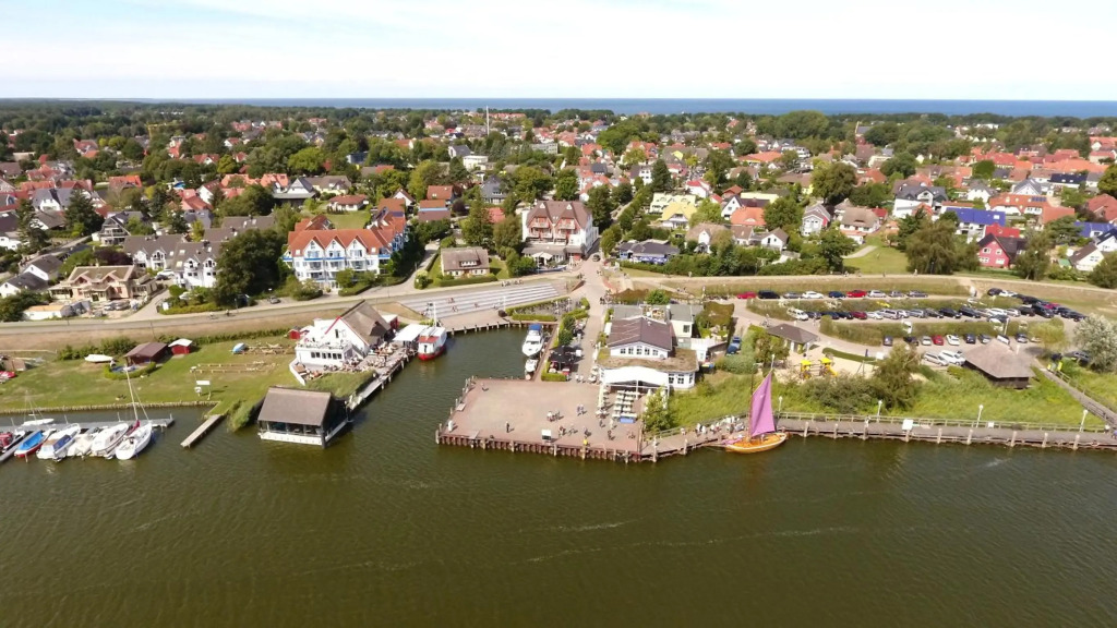 Boddenwelle