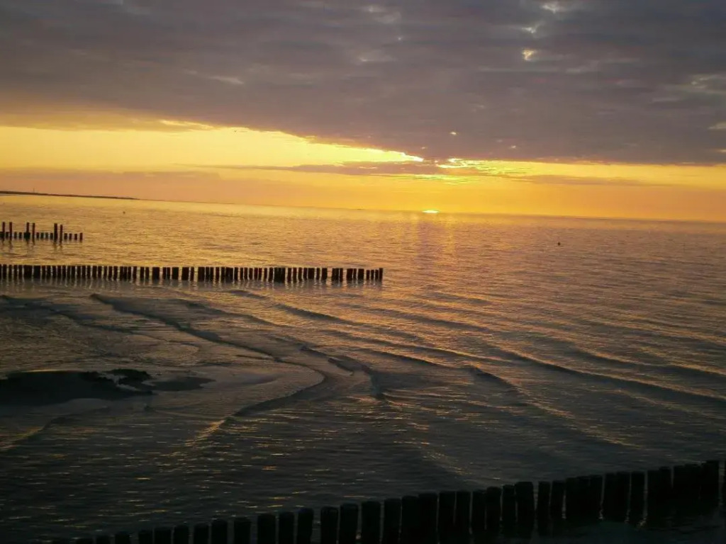 Wohnung 3 im EG Haus Stranddistel, komfortable Ferienwohnung fur 2 Personen in Zingst