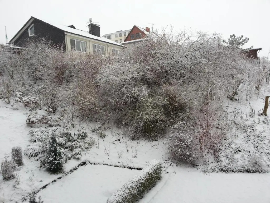 Ferienwohnung Am Paradies 6