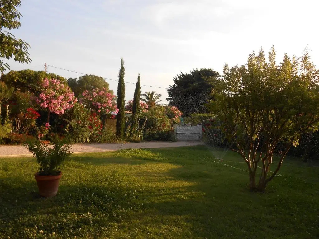 Chez Mamouska