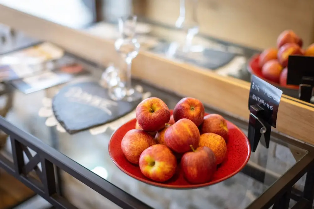 Wellness- und Familienhotel Garni Dachsteinresort