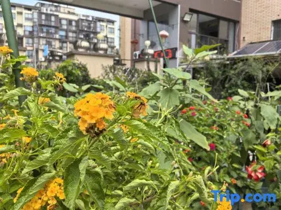 Guilin Wuwei E-sports Homestay