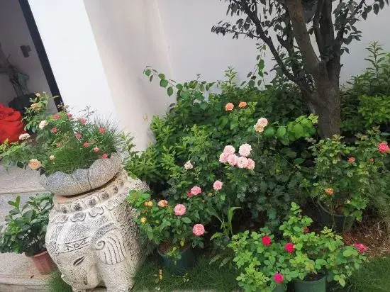 Yongzhou Xiaoxiang Xuyuan Homestay