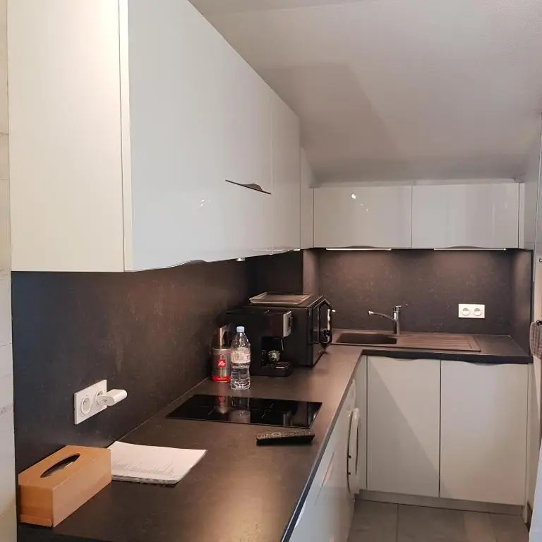STUDIO 28 m2 TOUT CONFORT NEUF LABEL 3 ETOILES 4 PERSONNES CYBELE