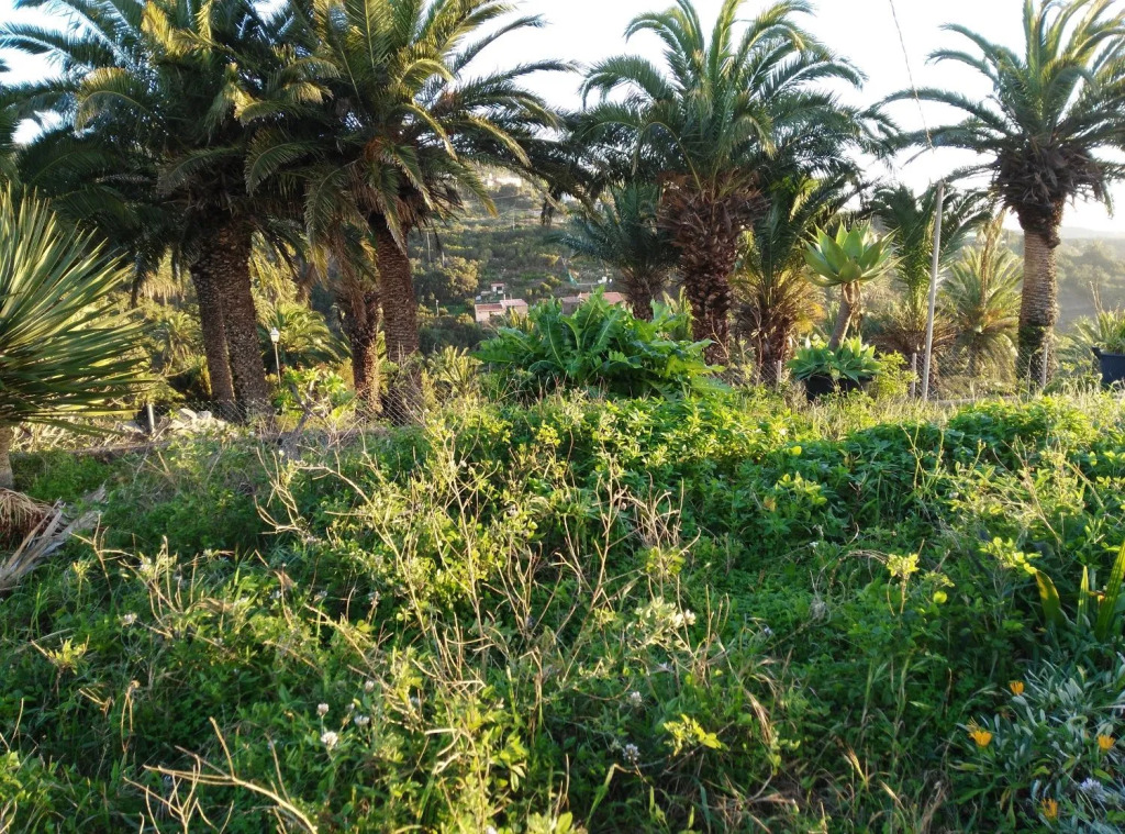 Casas Rurales Amparo Las Hayas