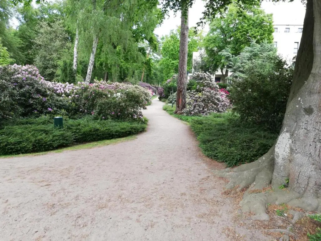 nagelneue Fewo mit Waldblick 10min zur See Igelring21og