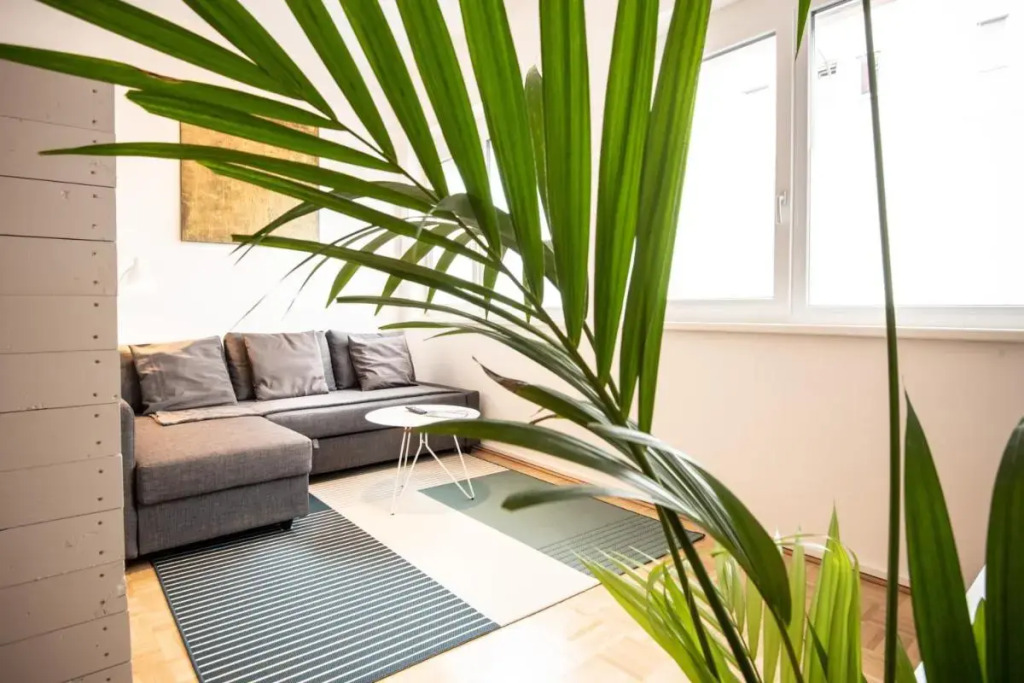 City-Apartment Neubaugasse