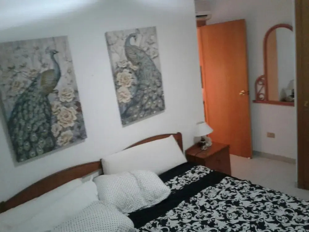 Rental 300 Meters From the Beach Center Alcossebre