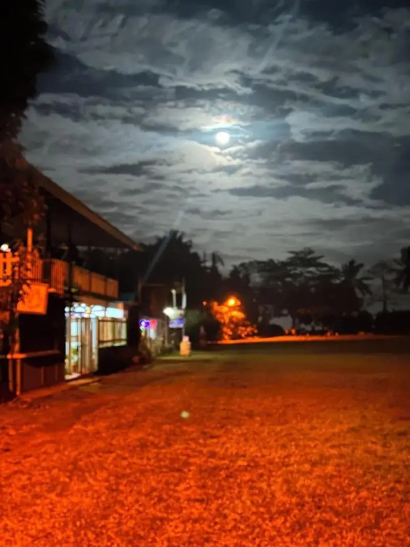 Miss Miriam Beachfront Cabins