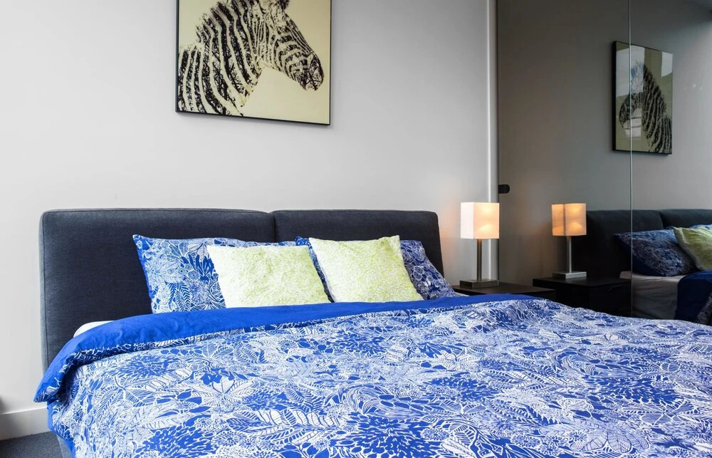 Roomerang at Parque Apartments 7