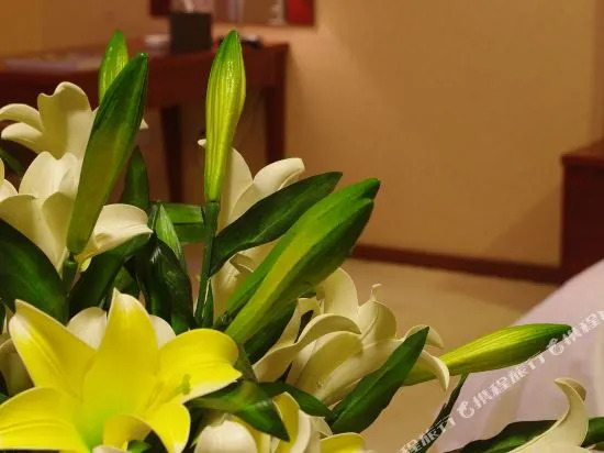 Xiyue International Boutique Apartment