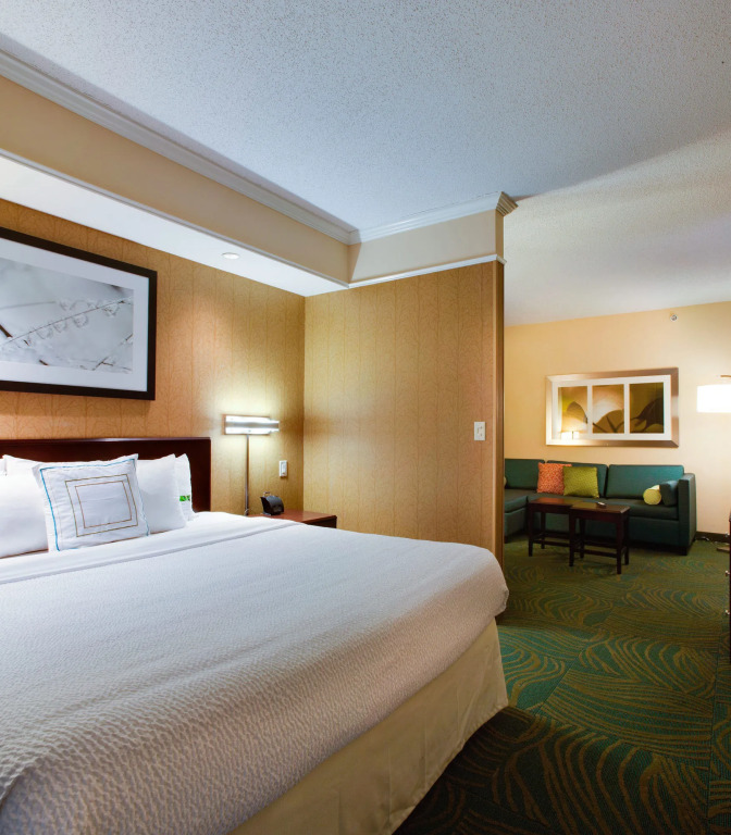 SpringHill Suites by Marriott Savannah I-95 South