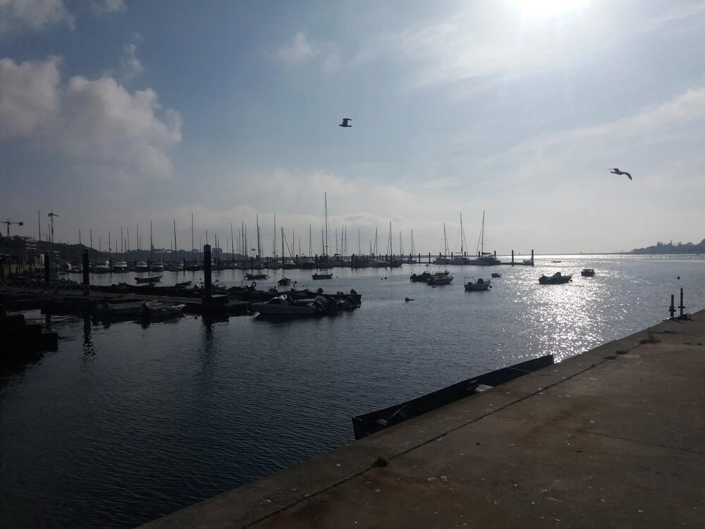 Apartment With one Bedroom in Madalena, With Balcony and Wifi