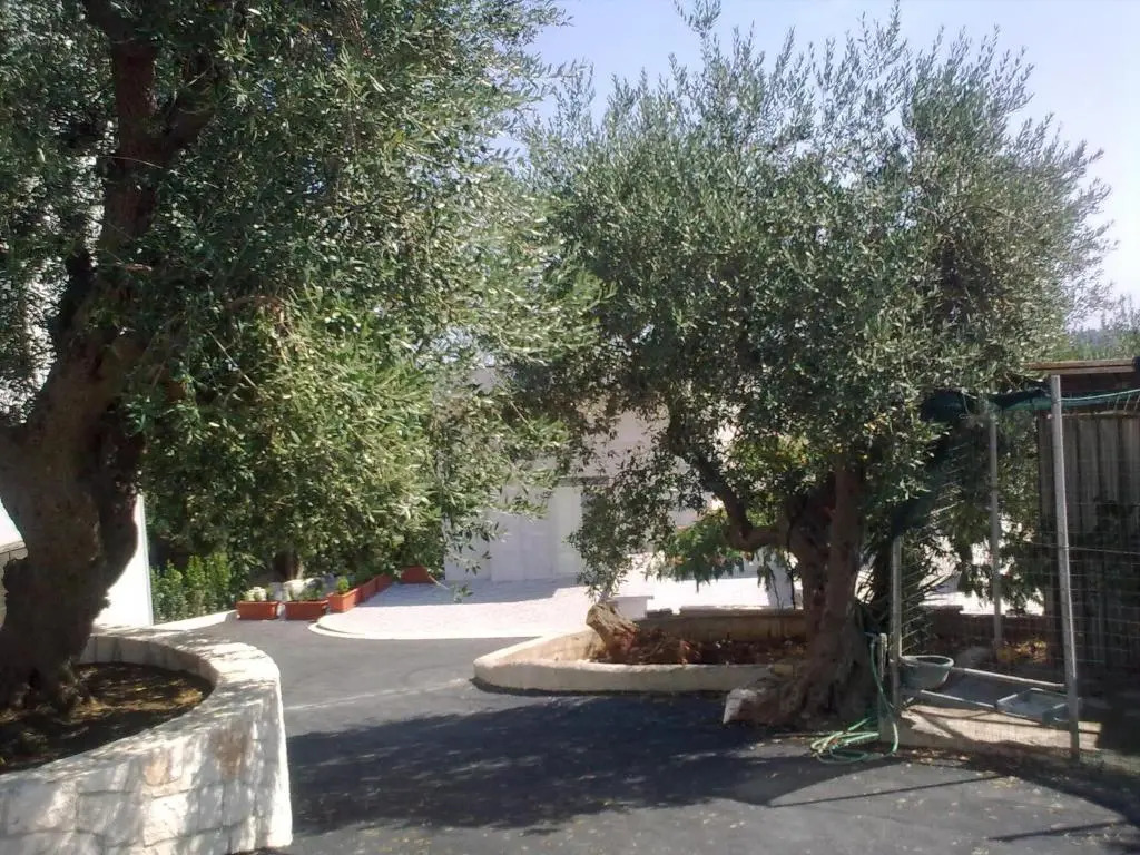 Bed & Breakfast La Collinetta