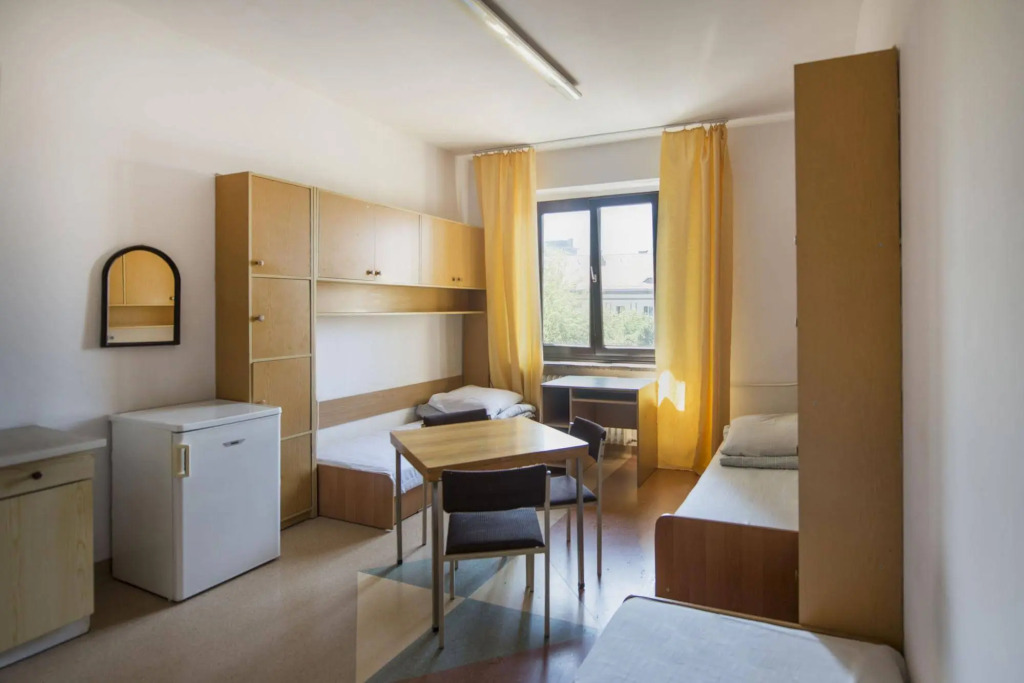 Dizzy Daisy Hostel