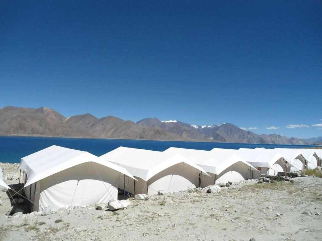 Royal Camp - Pangong