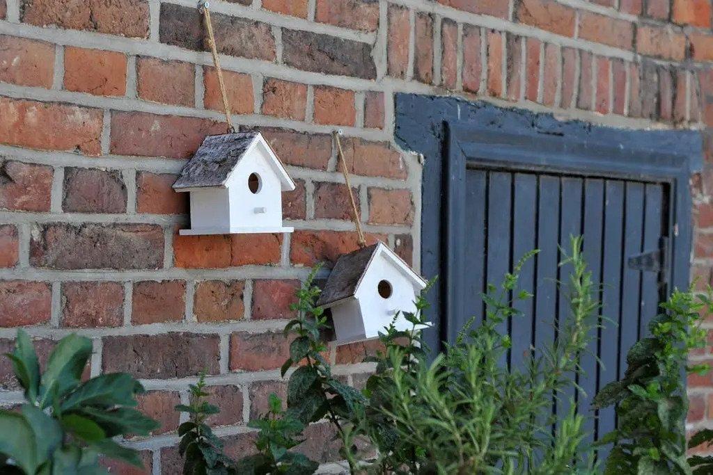 B&B Het Vuchterhof