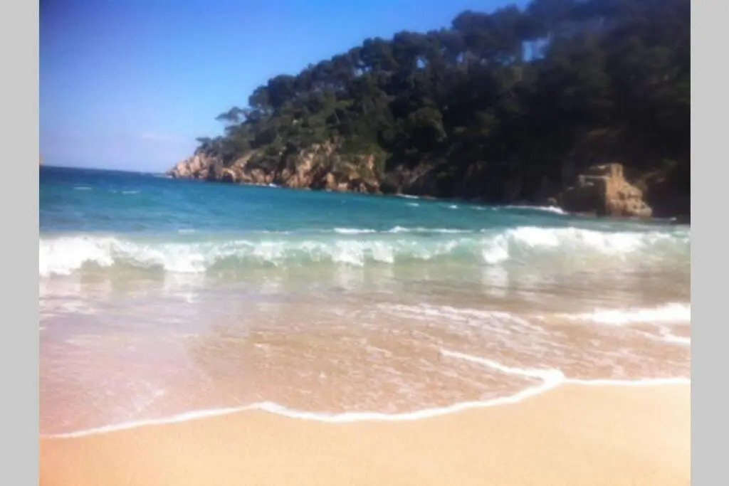 Alemanya 30 privat pool Estartit
