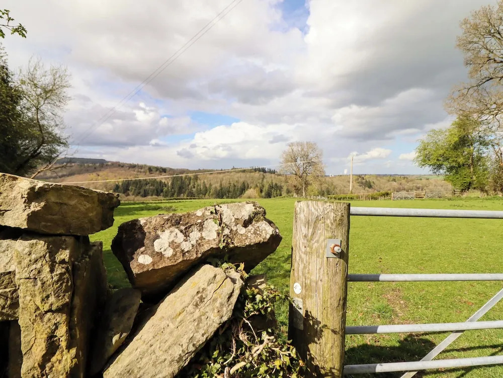 Penymaes