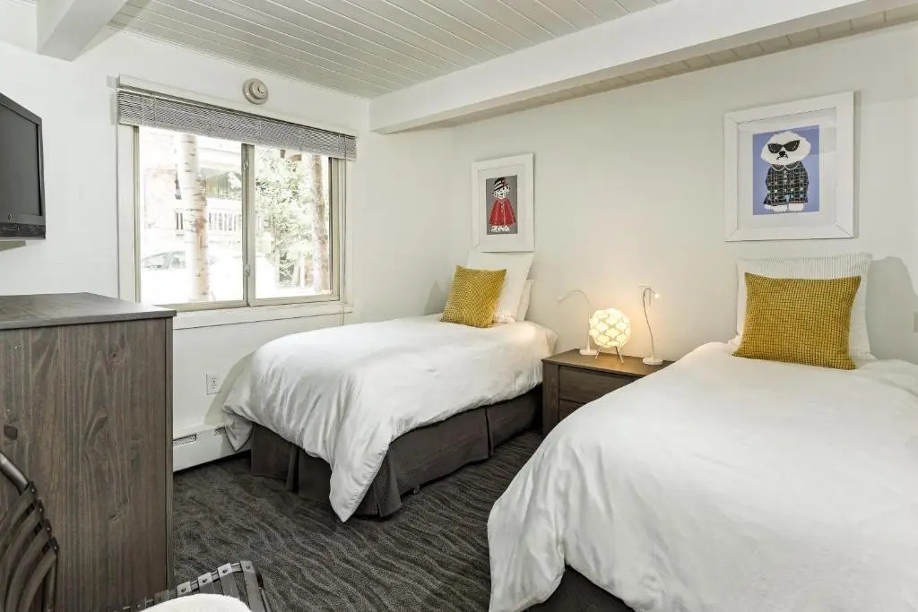 Aspen Alps Apartment #103