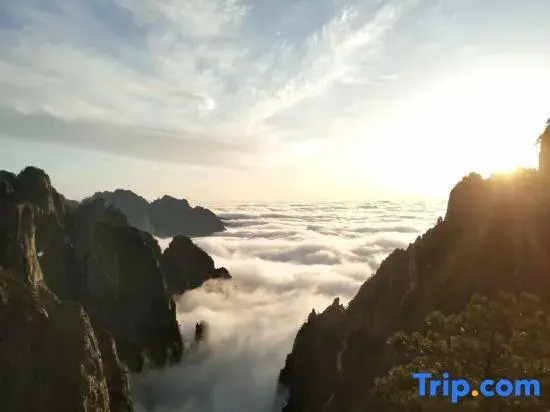 Huangshan Yaopan Shan Shu Homestay