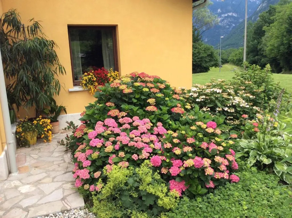 Casa Edith