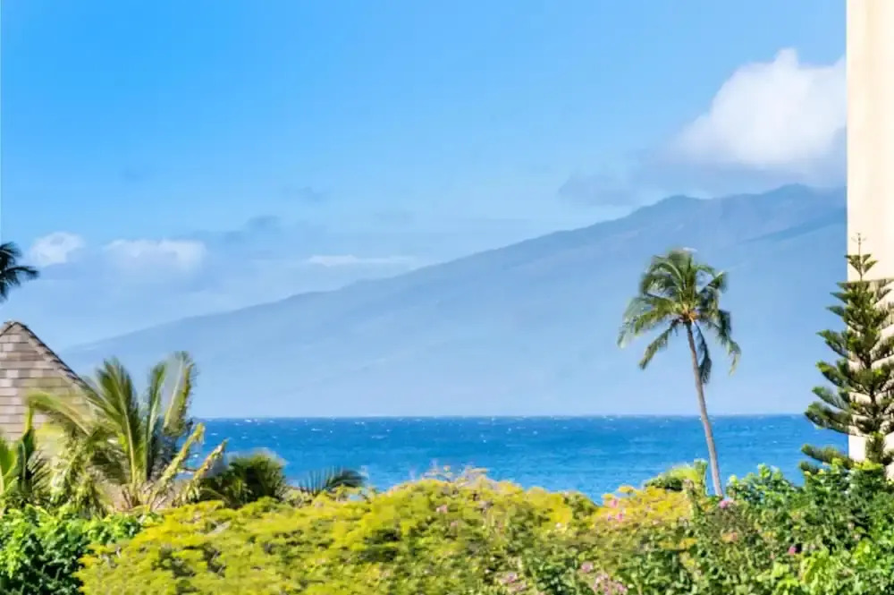 Kahana Manor 205