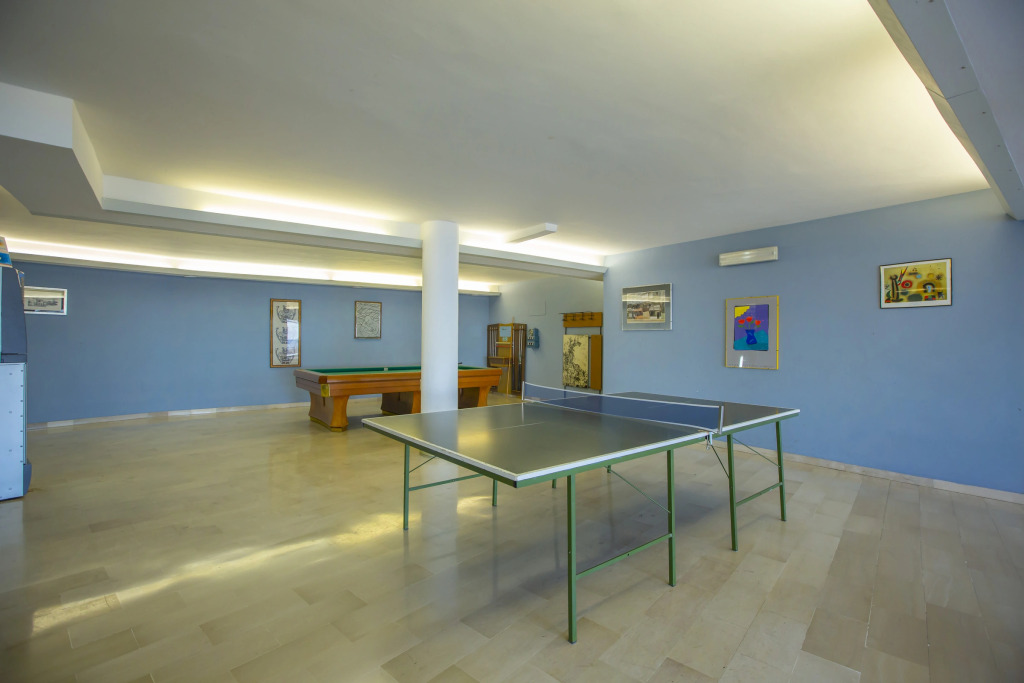 Cervo 319D