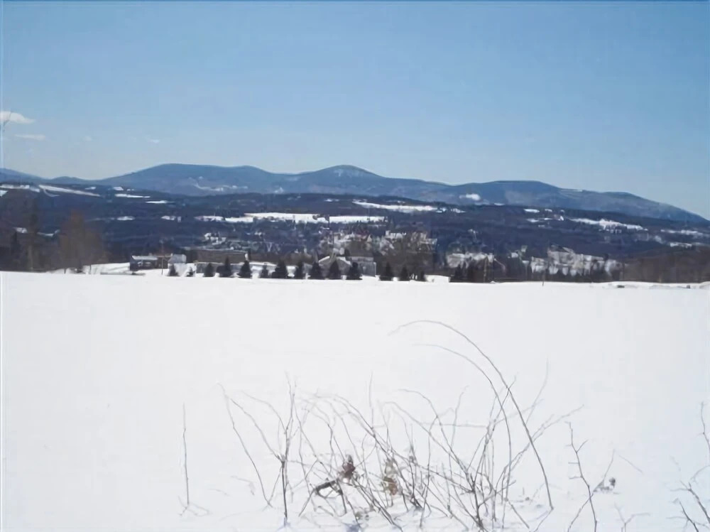 Notch View Inn