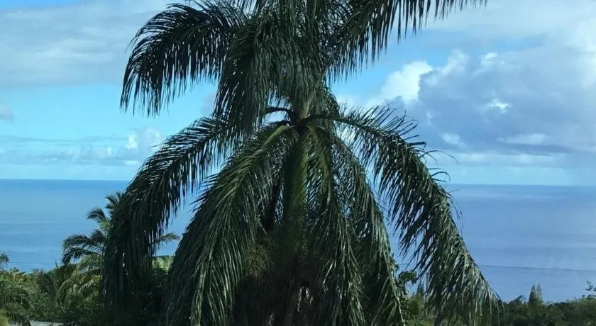Hotel Honokaa