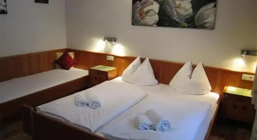Alpinhome