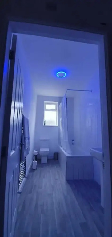 Fantastic New Room-1