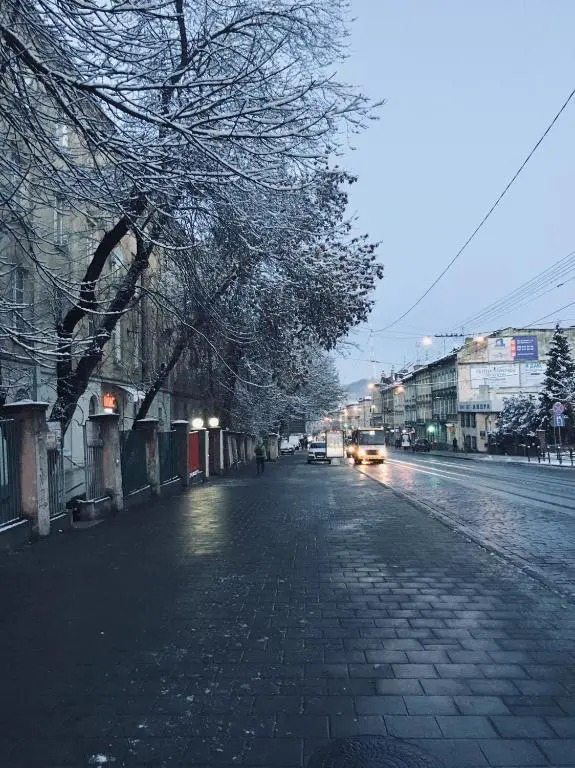 Lviv-centre apartments Gorodotska 44