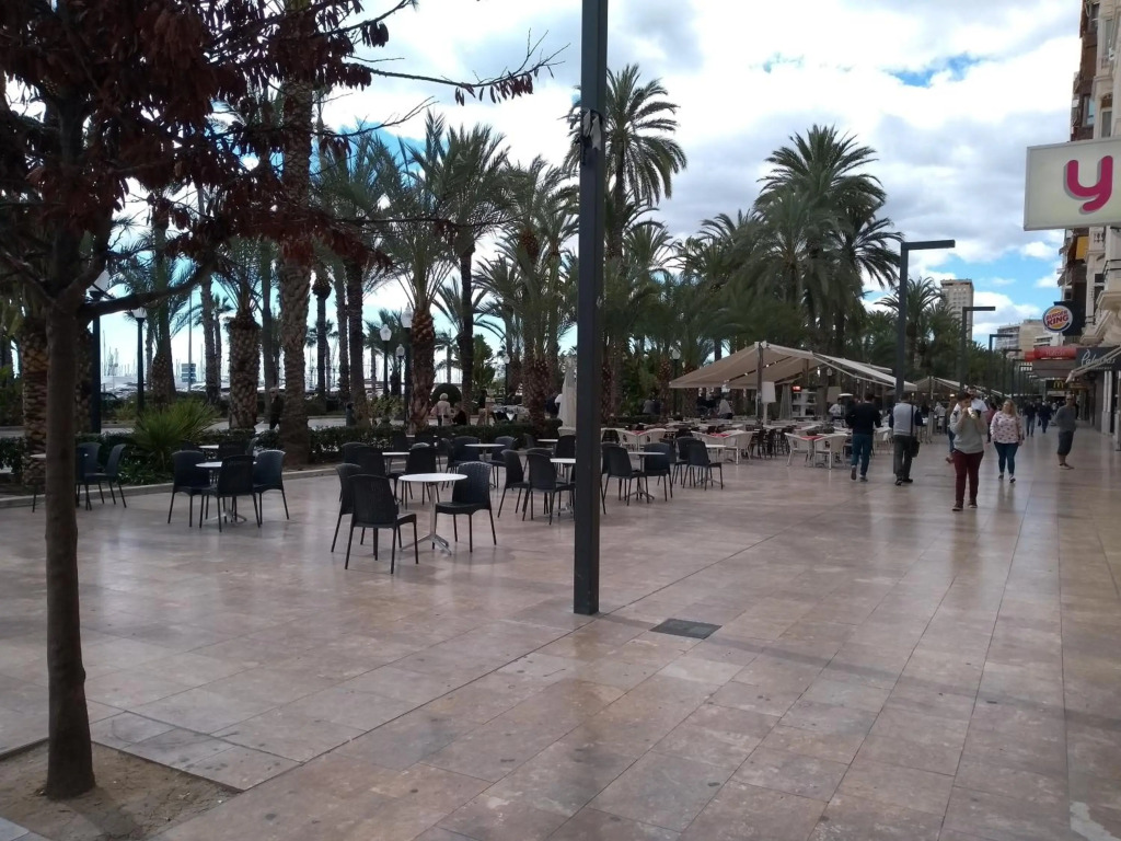 La Estrella de Alicante