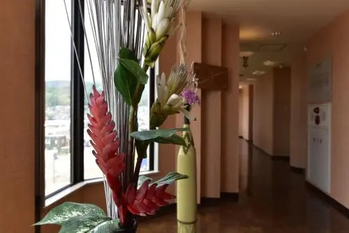 Hotel Luna Coast