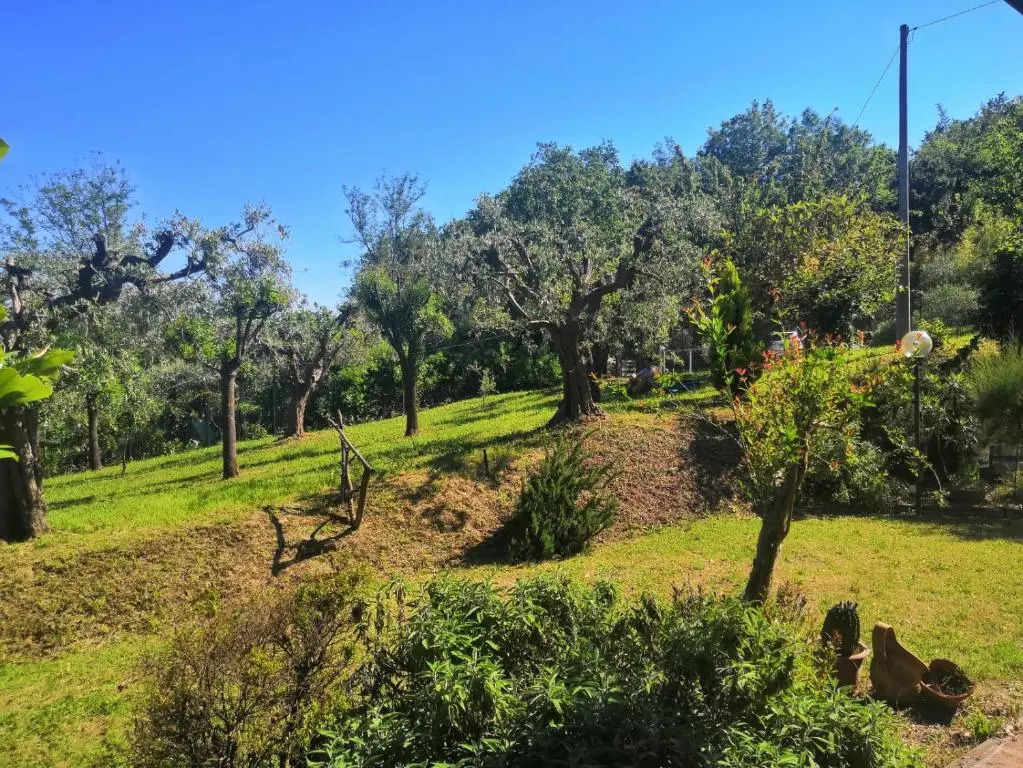 La Grande Quercia