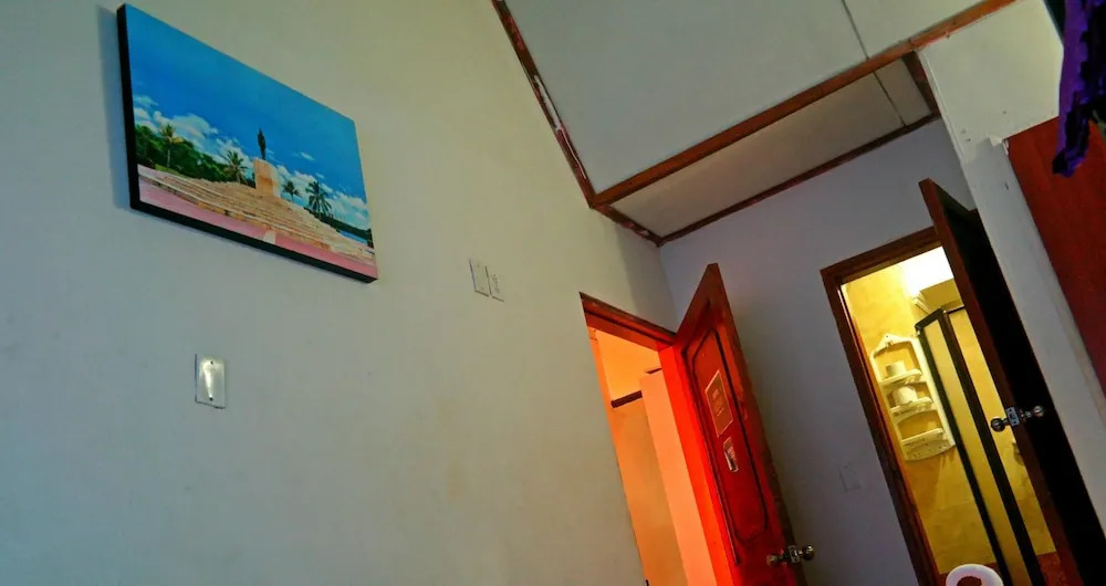 New Iguana House Hostel