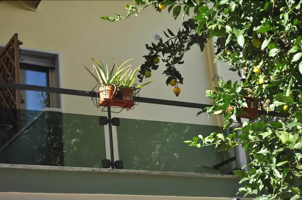 Green House Studio