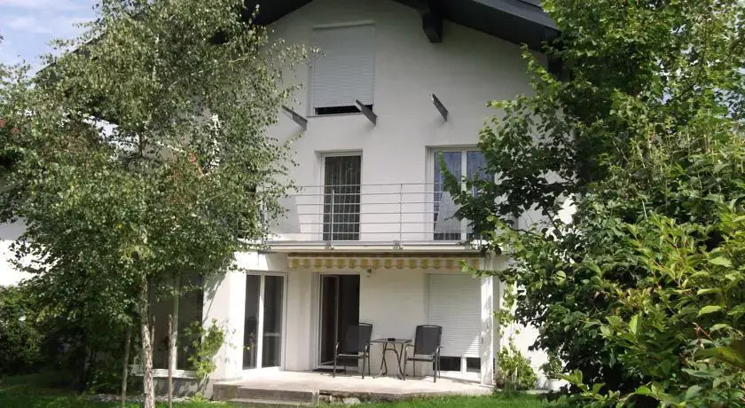 Sagzahnblick