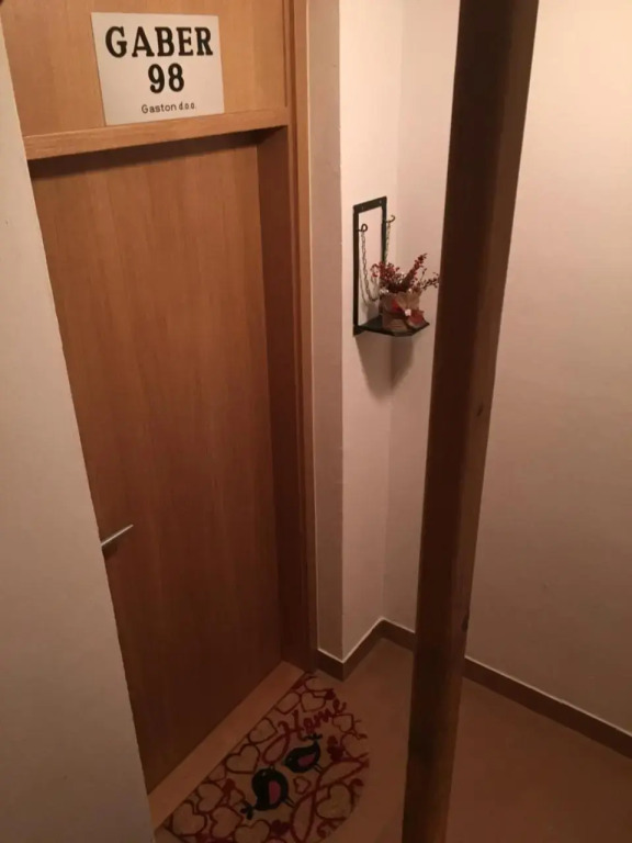 Apartma Rogla - Gaber 98