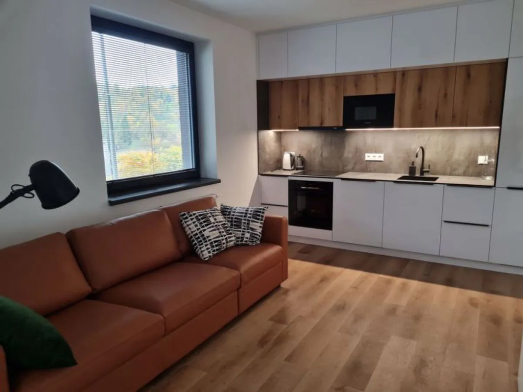 Villa near Ski Resort Cerny Dul
