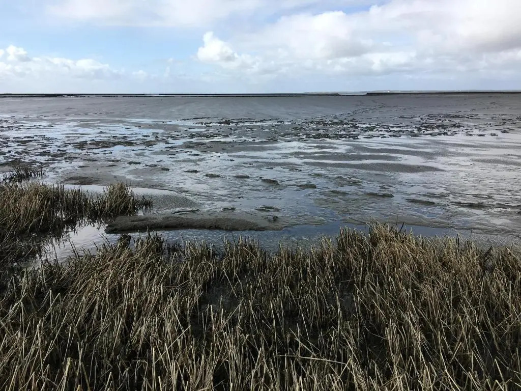 Verschmitzt am Meer