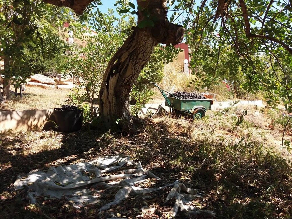 Villa With 3 Bedrooms in Loulé, With Wonderful Mountain View, Private