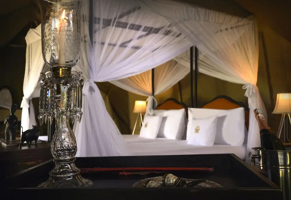 The Royal Migration Camp - All Inclusive