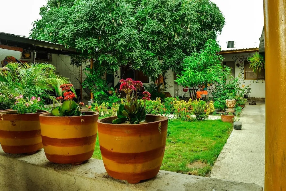 Azalea Hostal