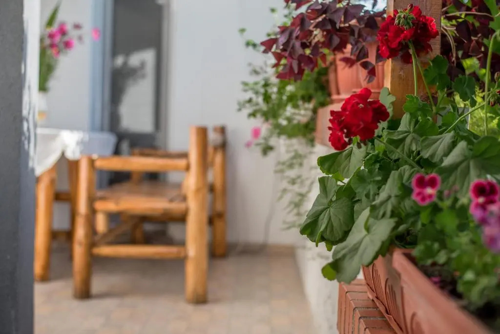 Guesthouse Juli