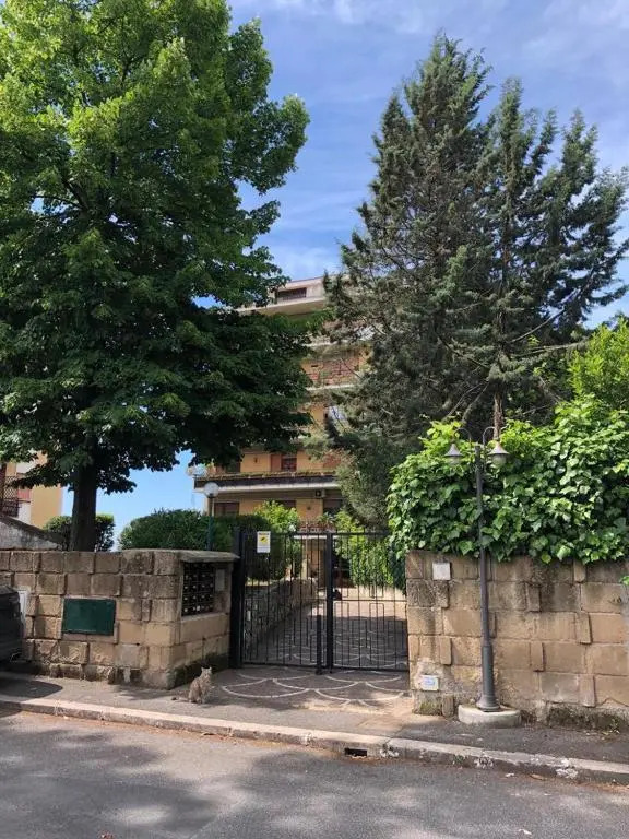 Eva's house