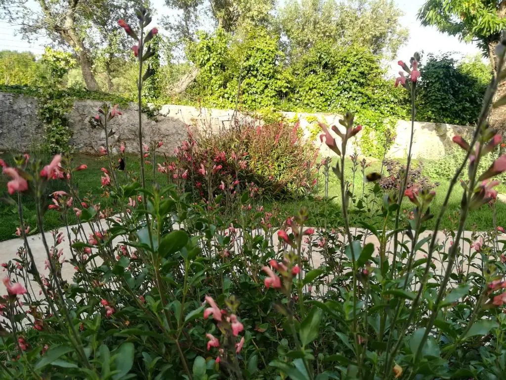 Dimora Il Mandorlo con jacuzzi riscaldata