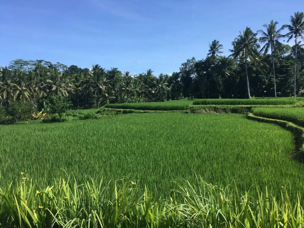 Puri Raya Villa